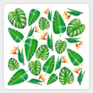 Tropical plants pattern handpainted watercolor design Magnet